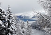 Na czym polega Natura 2000?